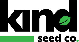 Cannabis Seeds South Carolina A Complete Guide