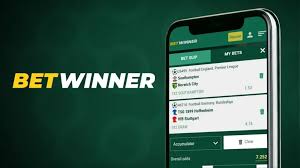 Betwinner Sports Analytics Elevate Your Betting Strategy Betwinner Sports Analytics Elevate Your Betting Strategy